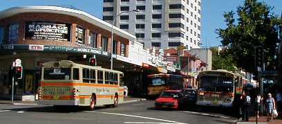 Baxters Bus Lines Mercedes PMC